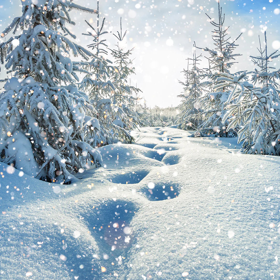 Kraftywax Vanilla Snowflake Scented Products