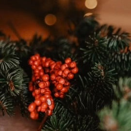 Kraftywax Festive Fig & Snowberry Scented Products